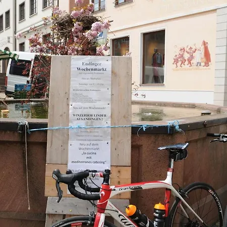 Apartman Nicolai Endingen am Kaiserstuhl